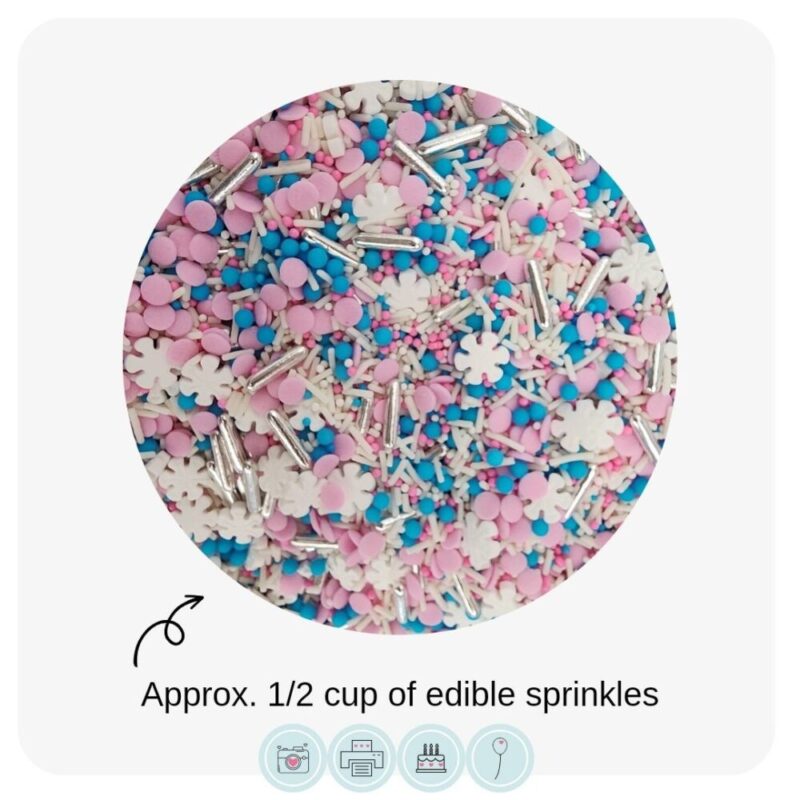 Edible Sprinkles // Frozen Princess Sisters